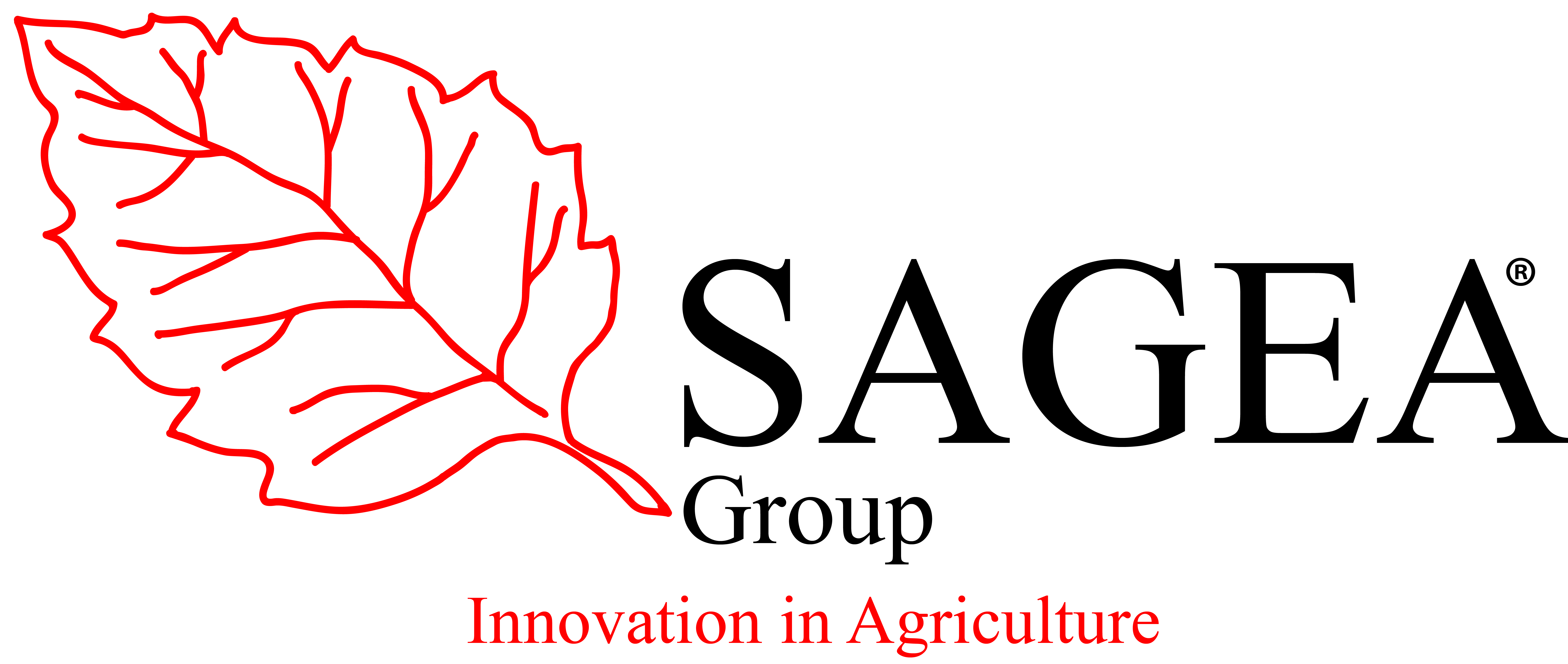 Sagea Group